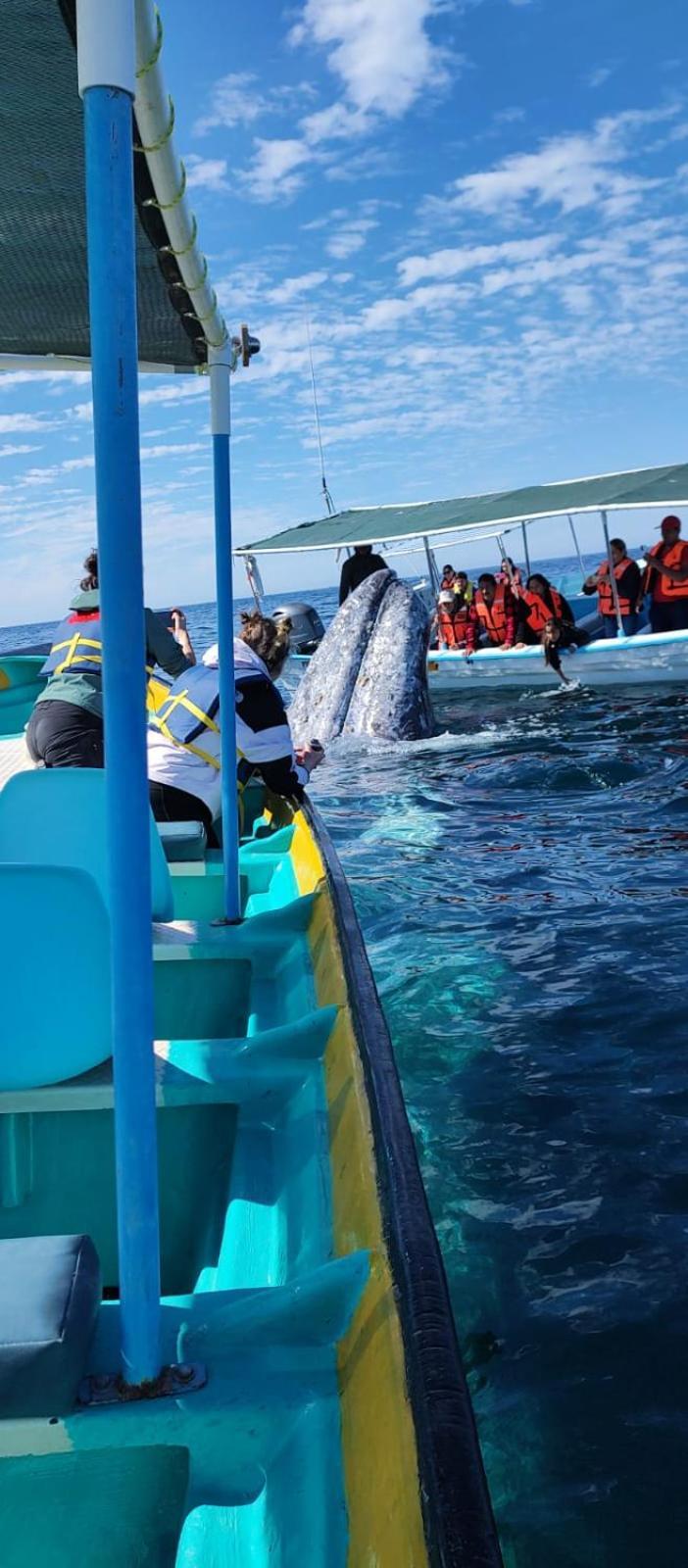 Hotel- Whale Tours And Sport Fishing Vista Mag-Bay Puerto San Carlos Екстер'єр фото