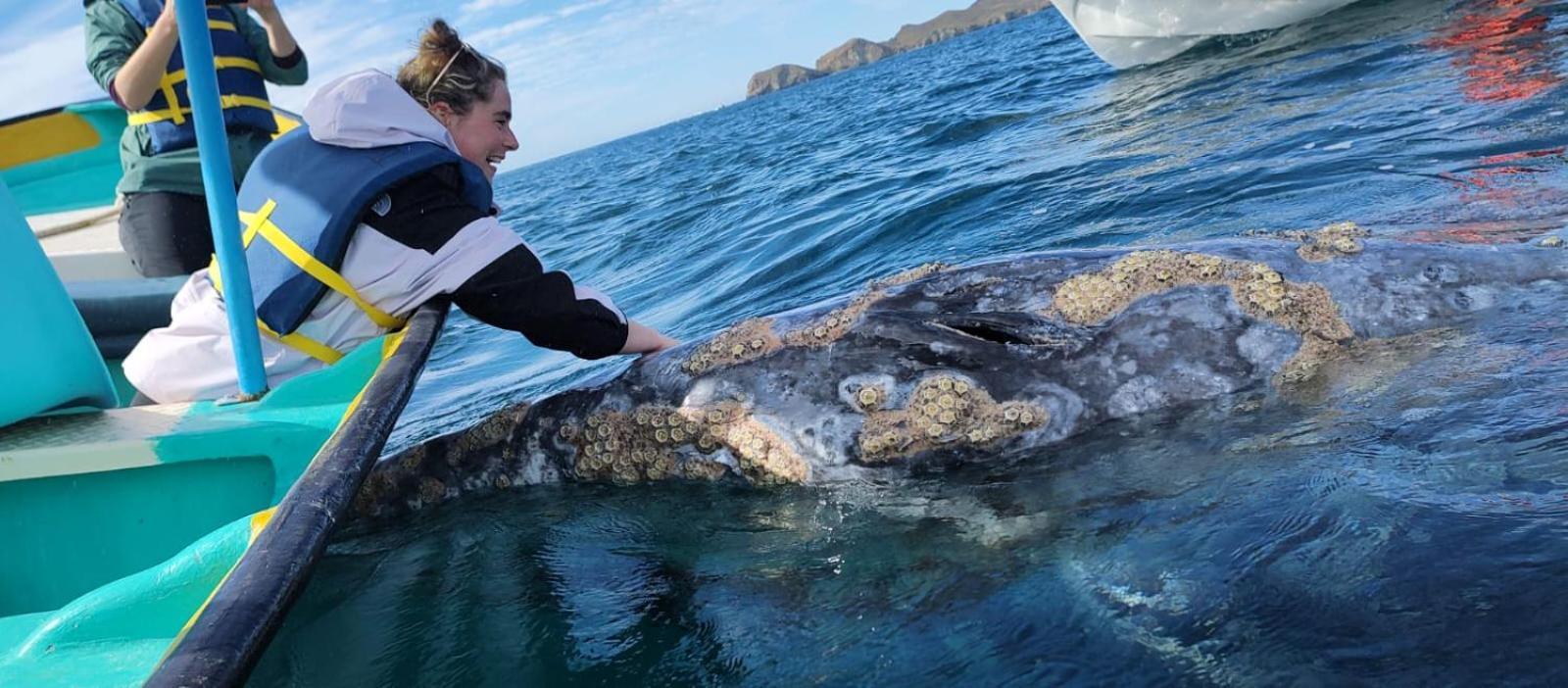 Hotel- Whale Tours And Sport Fishing Vista Mag-Bay Puerto San Carlos Номер фото
